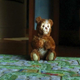 Illustration for article titled Google Is Making a Robot Teddy Bear That Can Recognize Your Face